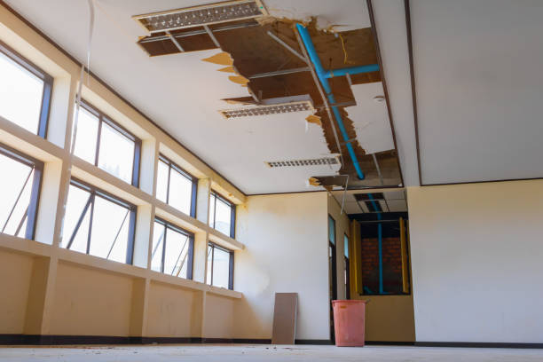 Best Mold removal after water damage  in Atkinson, IL