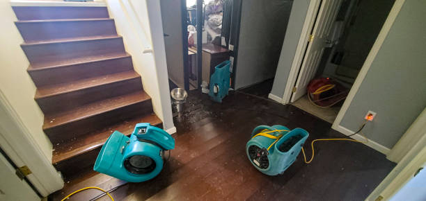 Professional Water damage restoration in Atkinson, IL