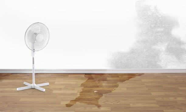 Best Local water damage restoration  in Atkinson, IL
