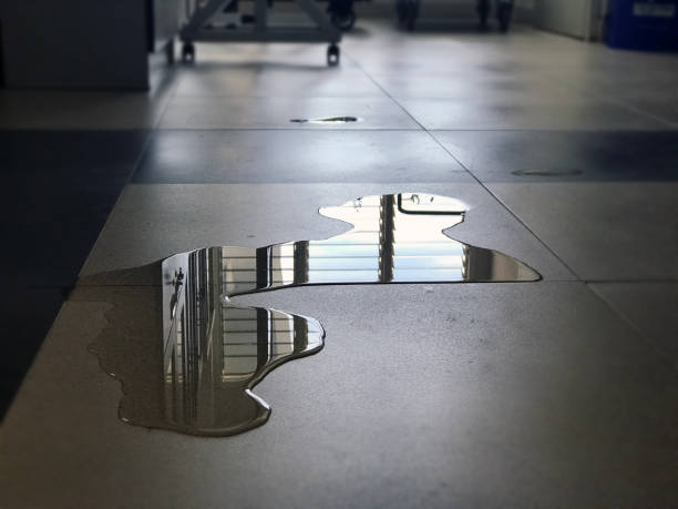 Best Commercial water damage restoration  in Atkinson, IL