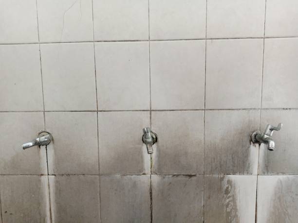 Best Commercial water damage restoration  in Atkinson, IL