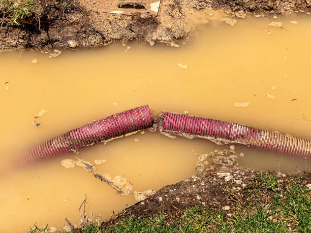 Best Water damage restoration services  in Atkinson, IL