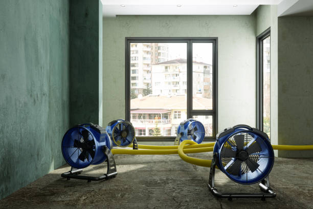 Best Professional water damage repair  in Atkinson, IL