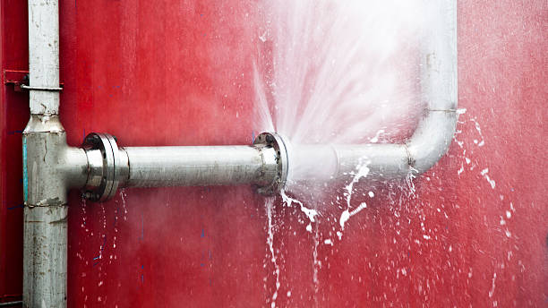 Best Water damage contractors near me  in Atkinson, IL
