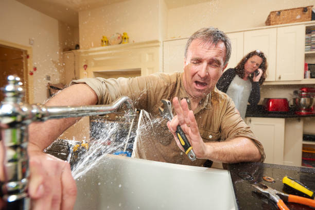 Best Flood restoration services  in Atkinson, IL